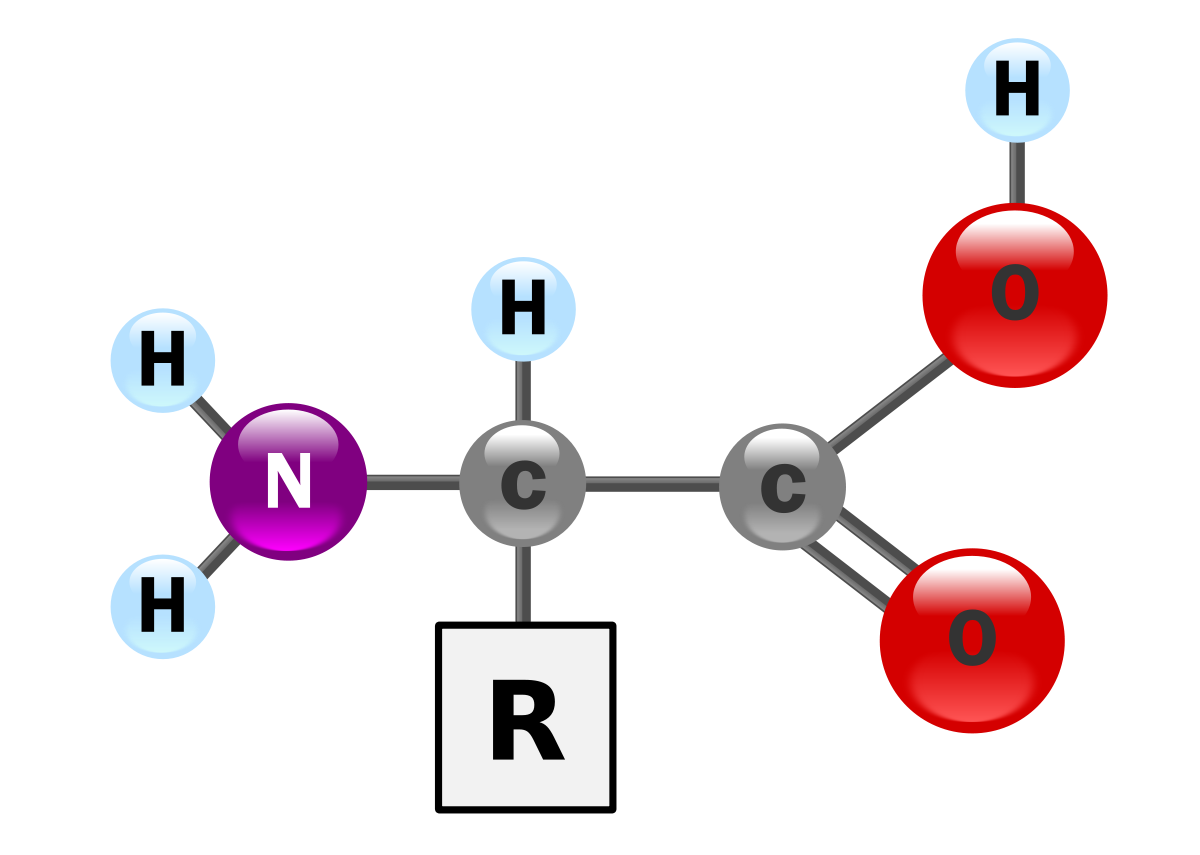 aminokiseline